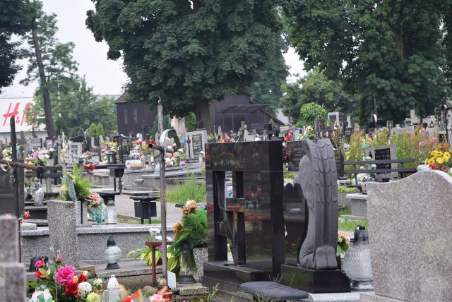 Hieny cmentarne na Cmentarzu Parafialnym w Sieradzu