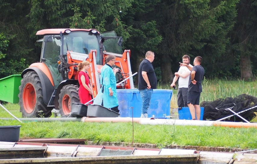 Katastrofa ekologiczna w powiecie białogardzkim. Tysiące...