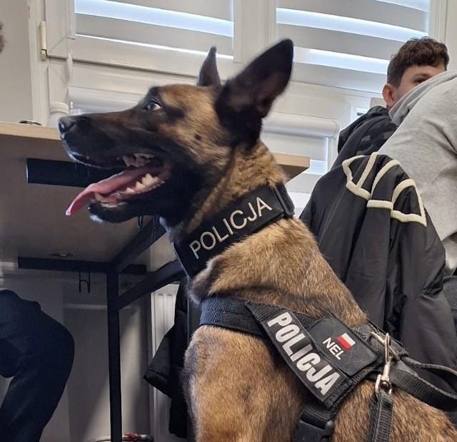 Policjanci wraz z policyjnym psem Nel spotkali się młodzieżą szkół powiatu gdańskiego