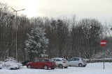 Rząd latarni oświetla parking w pobliżu Alei Wielkiej Wyspy we Wrocławiu. Nie gasną nawet w dzień!