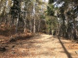 Idealne miejsce na jesienny spacer w Beskidzie Śląskim. Zobaczcie ZDJĘCIA z niebieskiego szlaku z Wapienicy na Błatnią 