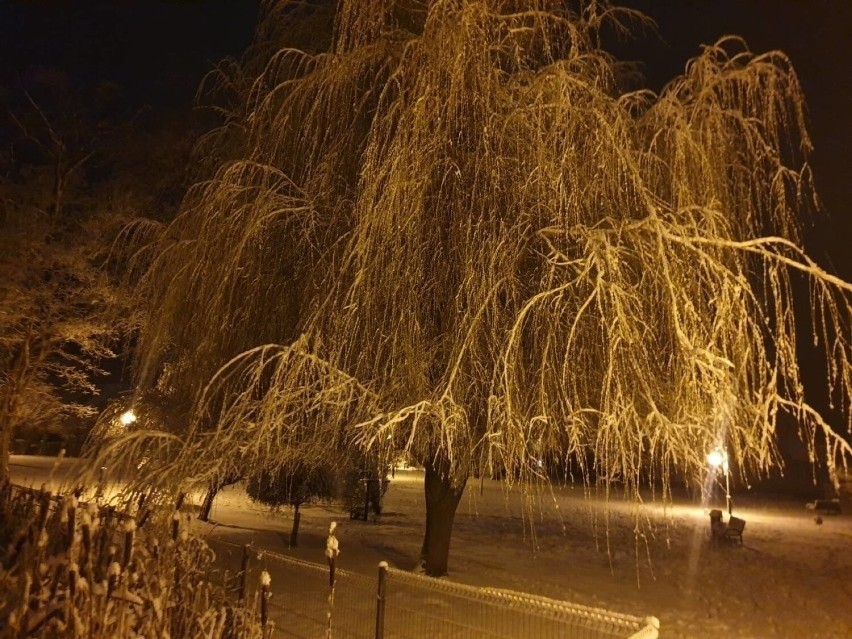 Czytelnicy wysyłają zdjęcia zimowej aury!