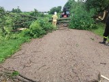 Burza przeszła nad powiatem ostrołęckim. Strażackie interwencje m.in. w gminach Goworowo i Myszyniec, 23-24.06.2021 r.