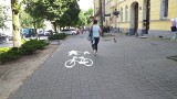 Malunki na chodnikach w Chełmnie, zwane absurdami drogowymi, znów odmalowane. Zdjęcia