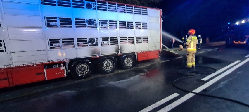 Na drodze krajowej nr 10, między Stargardem a Krąpielą, zapaliła się ciężarówka przewożąca kilkaset świń. Cztery świnie nie przeżyły