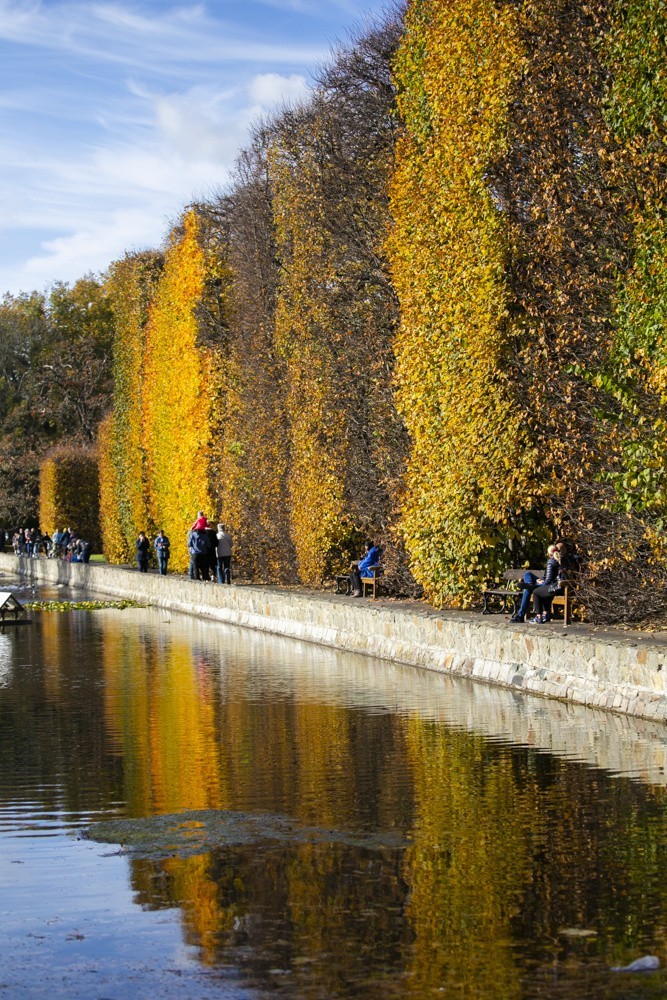 Park Oliwski jesienią