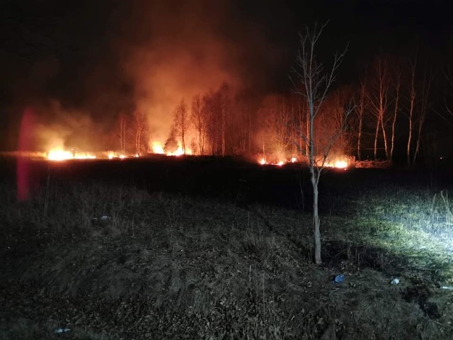 Do pożaru nieużytków rolnych doszło w nocy z wtorku na środę.