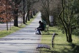 Koronawirus: Katowice, Chorzów - miasta opustoszały. Spokojna niedziela w parkach, na ulicach i kościołach