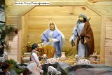 Szopki ze sceną narodzenia Jezusa i Świętą Rodziną w kościołach Stalowej Woli (ZDJĘCIA)