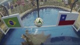 Żółw typuje - Brazylia zagra w ćwierćfinale (WIDEO)
