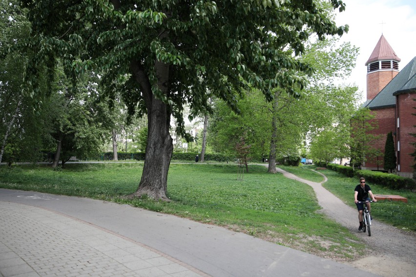 Park Młynówka Królewska