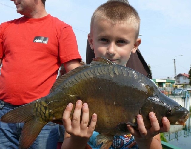 Największą rybę w Krasocinie &#8211; karpia królewskiego o wadze ponad 1,5 kilograma złowił 8-letni Jakub Niedbał z Niwisk Krasocińskich.
