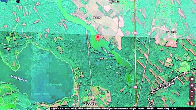 Zdjęcie satelitarne jeziora Dołgiego z Google Maps. Widać, że akwen jest wąski i położony wśród lasów 