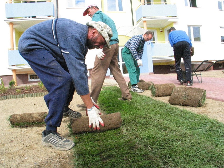 Raz, dwa, trzy i na osiedlowych skwerach trawa "wyrosła" w...