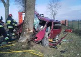 Wypadek śmiertelny pod Wilkowem. Ford uderzył w drzewo. 28-letni pasażer zginął na miejscu (zdjęcia)