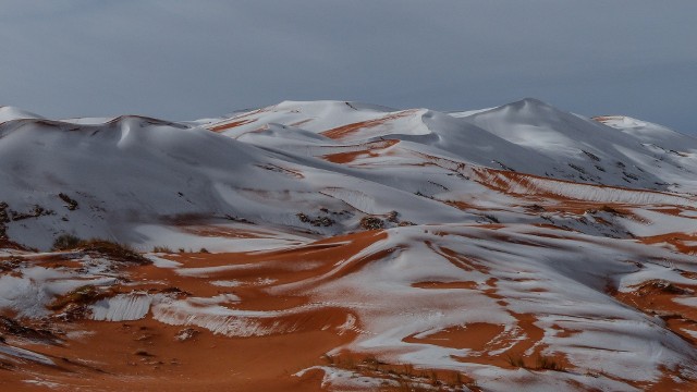 Na Saharze spadł śnieg. Zjawisko uchwycił na zdjęciach fotograf z Algierii. Zobaczcie, jak wygląda śnieg na największej pustynie świata.