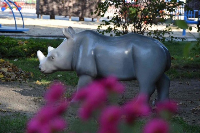 Park Krasnala w Nowej Soli. Niedaleko nosorożca pojawią się urządzenia do zabawy dla dzieci niepełnosprawnych