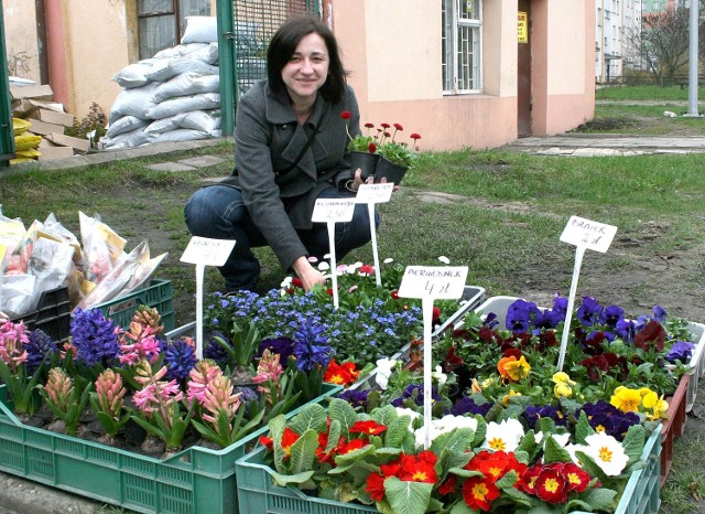 - Lubię, gdy w moim ogródku rosną kwiaty. Może wybiorę jakieś stokrotki &#8211; mówi Aneta Namyślak, spotkana przy jednym z radomskich sklepów ogrodniczych.