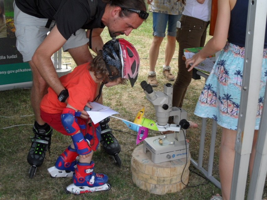 Leśny Piknik Rodzinny Ekoodpowiedzialnie 2015 w Katowicach