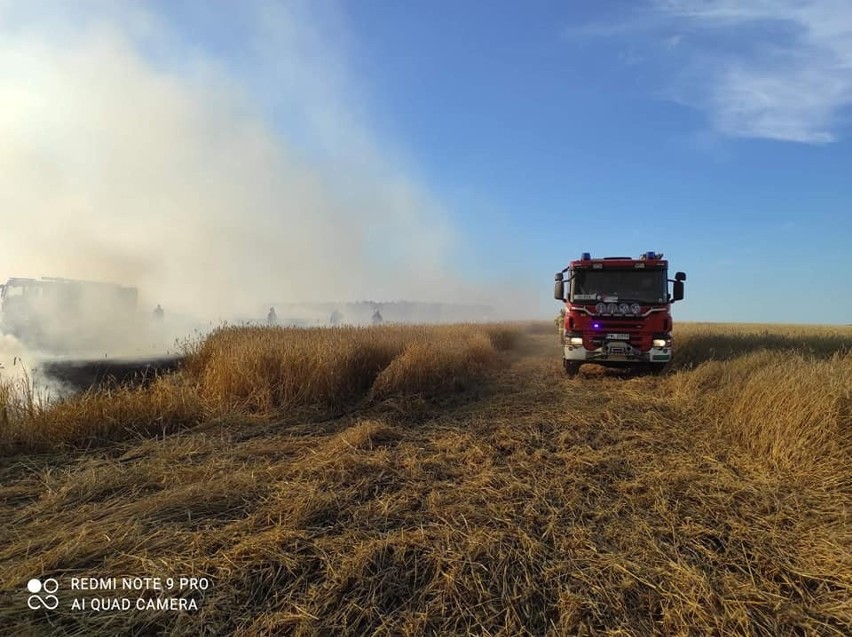 Ogromny pożar w Nowej Wsi Zbąskiej trawił blisko 60 hektarów...