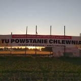 "Tu wylewam gnojowicę. Odradzam zakup działek" - ostrzega rolnik, który postawi dwie chlewnie po tysiąc świń