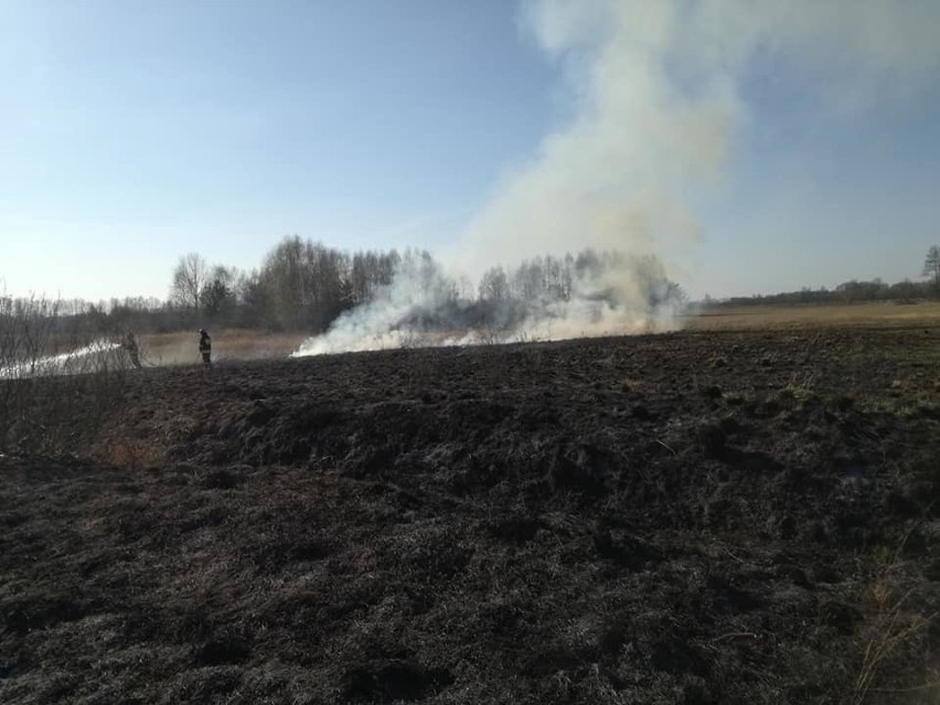 Strażacy z Borkowic i Przysuchy gasili pożary traw i nieużytków nawet w czasie świąt wielkanocnych