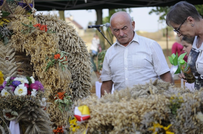 Święto plonów w gminie Kotla