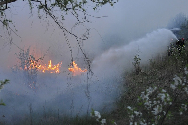 Pożar traw na ulicy Podmiejskiej (Osowa Góra)