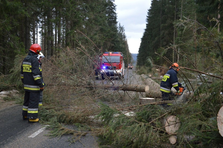 Trzeci dzień halnego. Setki drzew na drodze do Morskiego Oka [ZDJĘCIA]