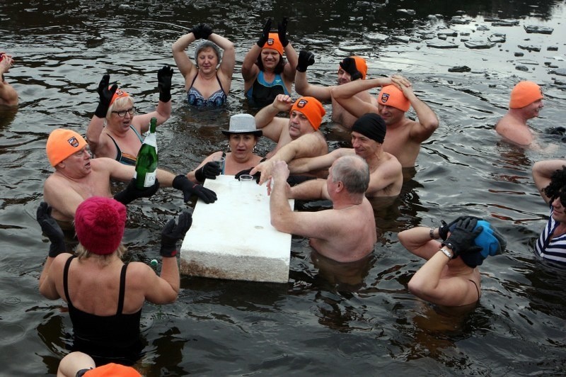 Kąpiel morsów w Szczecinie