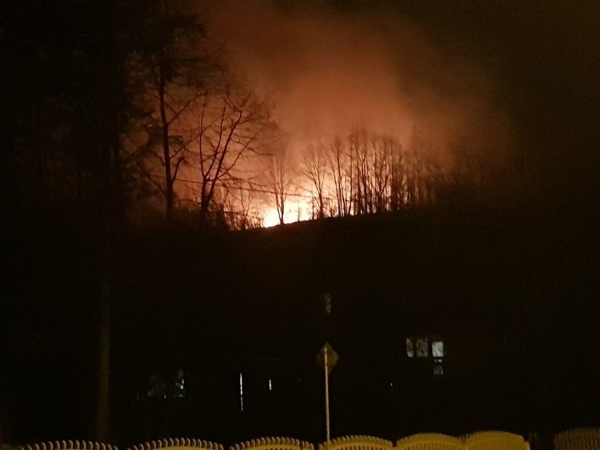 Wielki pożar traw i lasu w Pińczowie. Walczyło z nim aż 11 zastępów strażaków! [ZDJĘCIA]