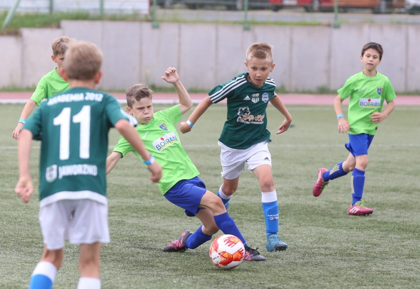 W Turnieju Piłki Nożnej dla Dzieci Silesia Cup o Puchar...