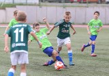 Silesia Cup na Stadionie Śląskim: Górnik Zabrze wygrał Turniej 10-latków o Puchar Marszałka Województwa Śląskiego ZDJĘCIA