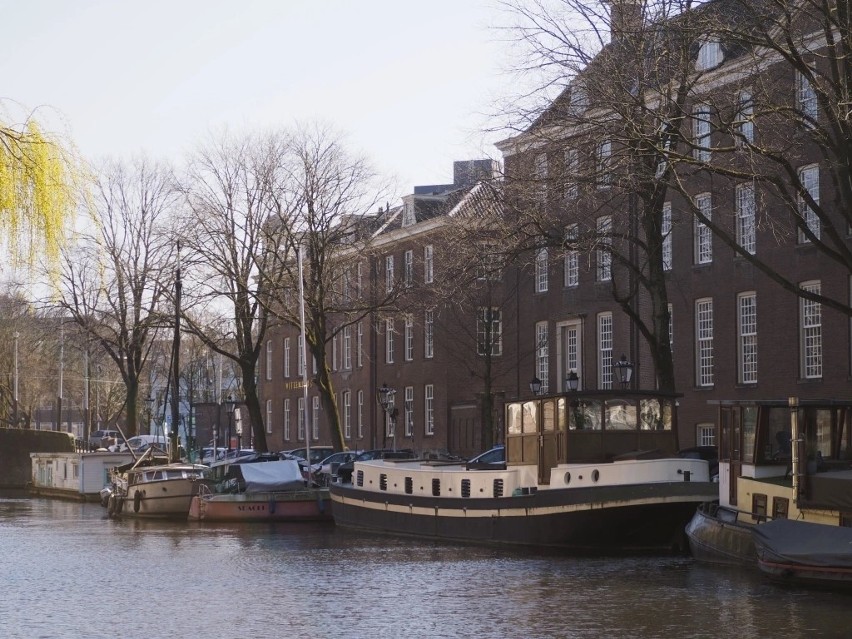 Kwarantanna w Amsterdamie oczami szczecinianki. "Nikt nie daje mandatów, jeśli ktoś nie trzyma właściwej odległości"