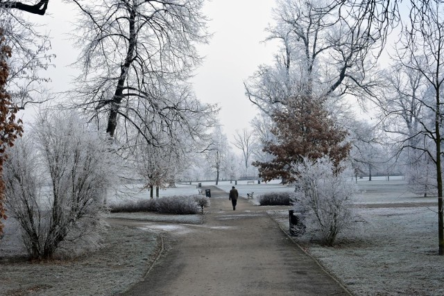 Zima 2019/2020? Jak będzie? Czeka nas zima trzydziestolecia? Aktualne prognozy pogody dla Polski