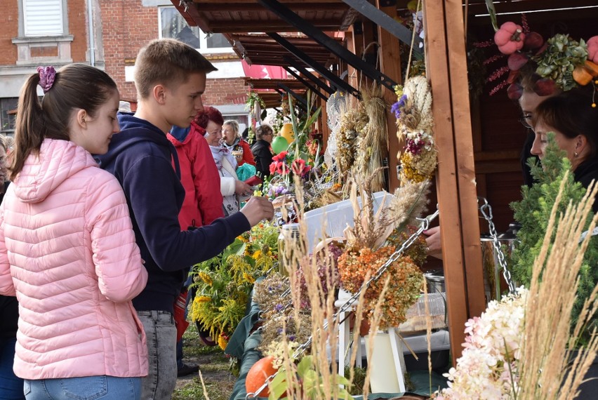 Jarmark Święta Plonów w Debrznie  - ulice zapełniły się stoiskami wystawców z całego Pomorza ZDJĘCIA