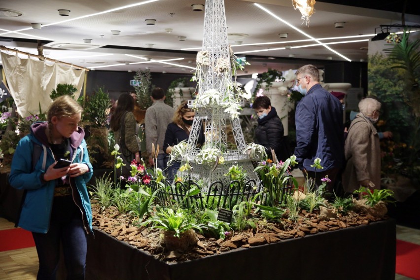 Lublin. Światowa wystawa orchidei, bonsai i sukulentów. Zobacz prawdziwe  cuda natury | Kurier Lubelski