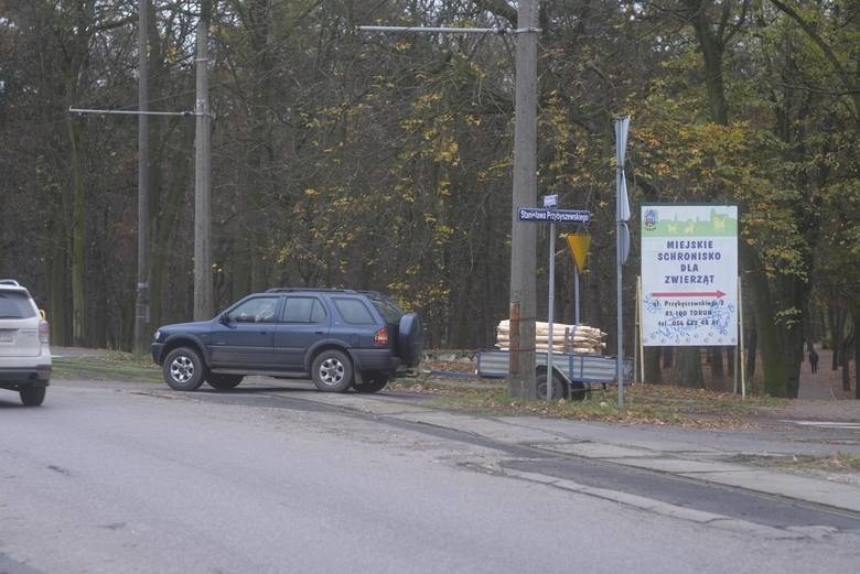 Ponumerowany został między innymi szpaler dorodnych...