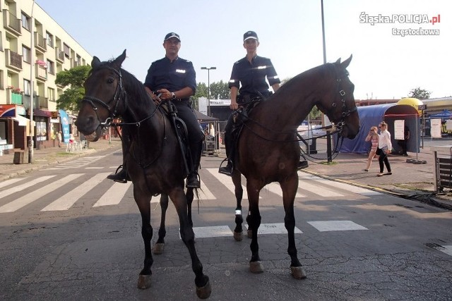 Policjantów na koniach można spotkać na częstochowskich imprezach miejskich