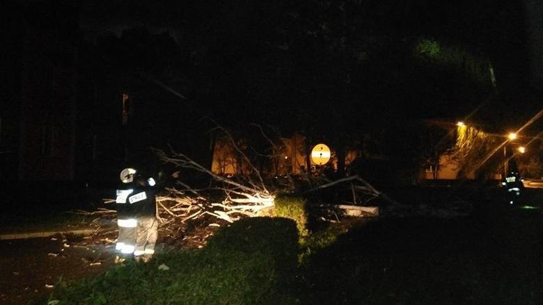 Orkan Ksawery siał spustoszenie w Małopolsce