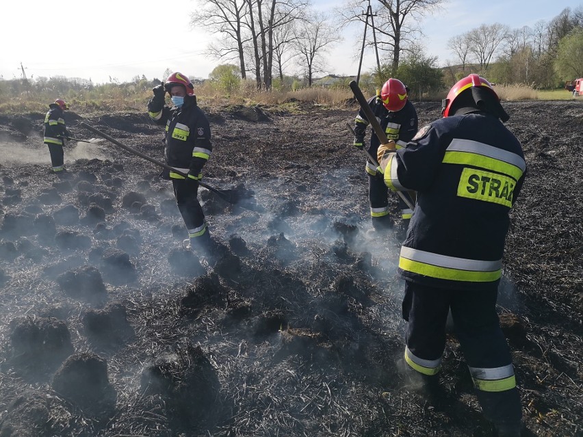 Pożar traw w Hebdowie