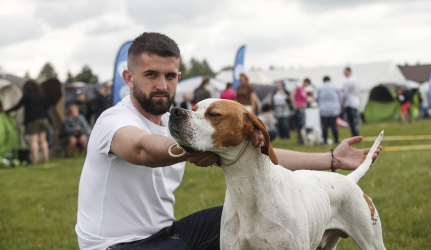 Międzynarodowa wystawa psów w Leśnej Woli koło Rzeszowa.