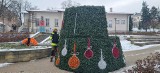 Choinka w Kielcach już prawie gotowa. W tym roku drzewko stanęło na placu Artystów. Zobacz zdjęcia