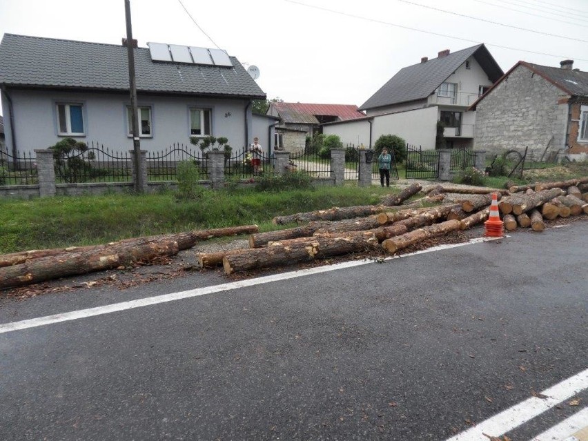 Zderzenie trzech ciężarówek w Smogorzowie w powiecie buskim. Na drogę krajową wysypało się drewno