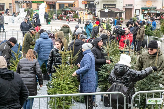 Akcja Choinka  na Rynku Kościuszki. Białostoczanie zostawiali sztuczne drzewka, w zamian odbierali naturalne