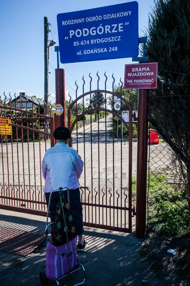 „Podgórze” to jeden z Rodzinnych Ogrodów Działkowych, który skorzysta z pomocy miasta.