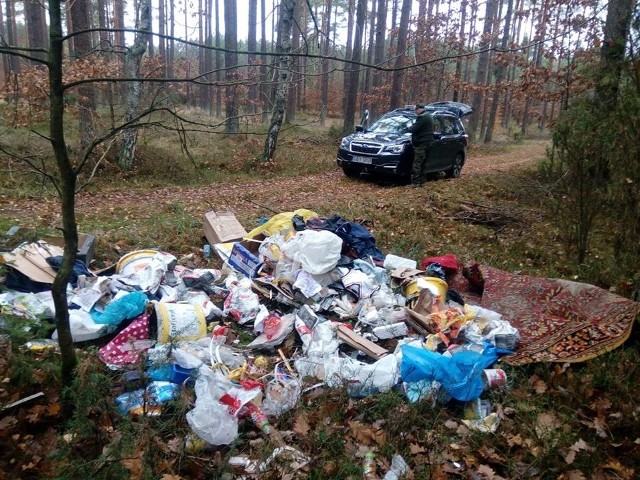Ktoś zaśmieca las niedaleko Borzytuchomia. Leży tam ogromna sterta śmieci.
