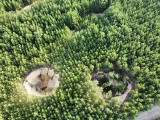 Zapadliska w olkuskich lasach. Pracownicy lasów państwowych apelują o zachowanie szczególnej ostrożności! Jak uniknąć zagrożenia? ZDJĘCIA