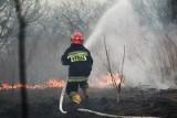 Strażacy podsumowali święta na Podkarpaciu. Ponad 250 interwencji