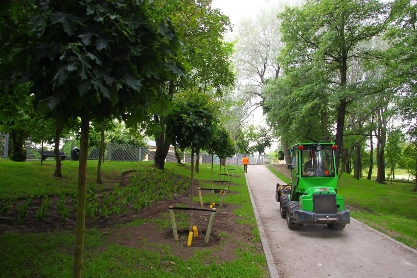 Park na Nadolniku wypiękniał. I zyska nową nazwę